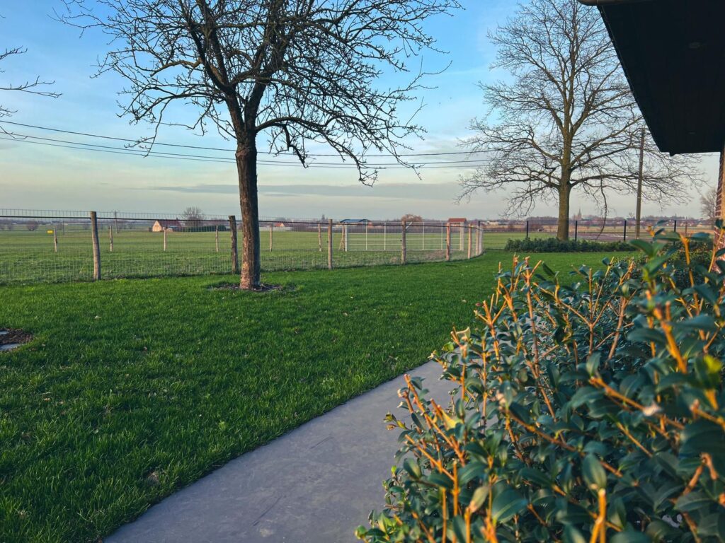 Zonnige tuin met omheining en afgereden gras. De omheining werd vakkundig geplaatst door Tuinaanleg Bram Buyse