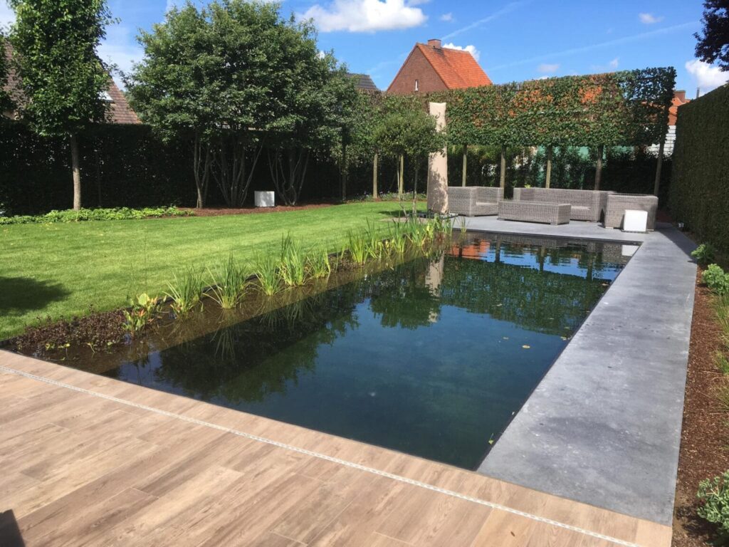 Strakke tuin met een natuurlijke zwemvijver aangelegd door Tuinaanleg Bram Buyse. De vijver wordt omgeven door zorgvuldig aangelegde beplanting en een modern terras van hout en steen. De zithoek in de achtergrond biedt een uitnodigende plek om te ontspannen, met een groene haag en volwassen bomen voor privacy en sfeer.